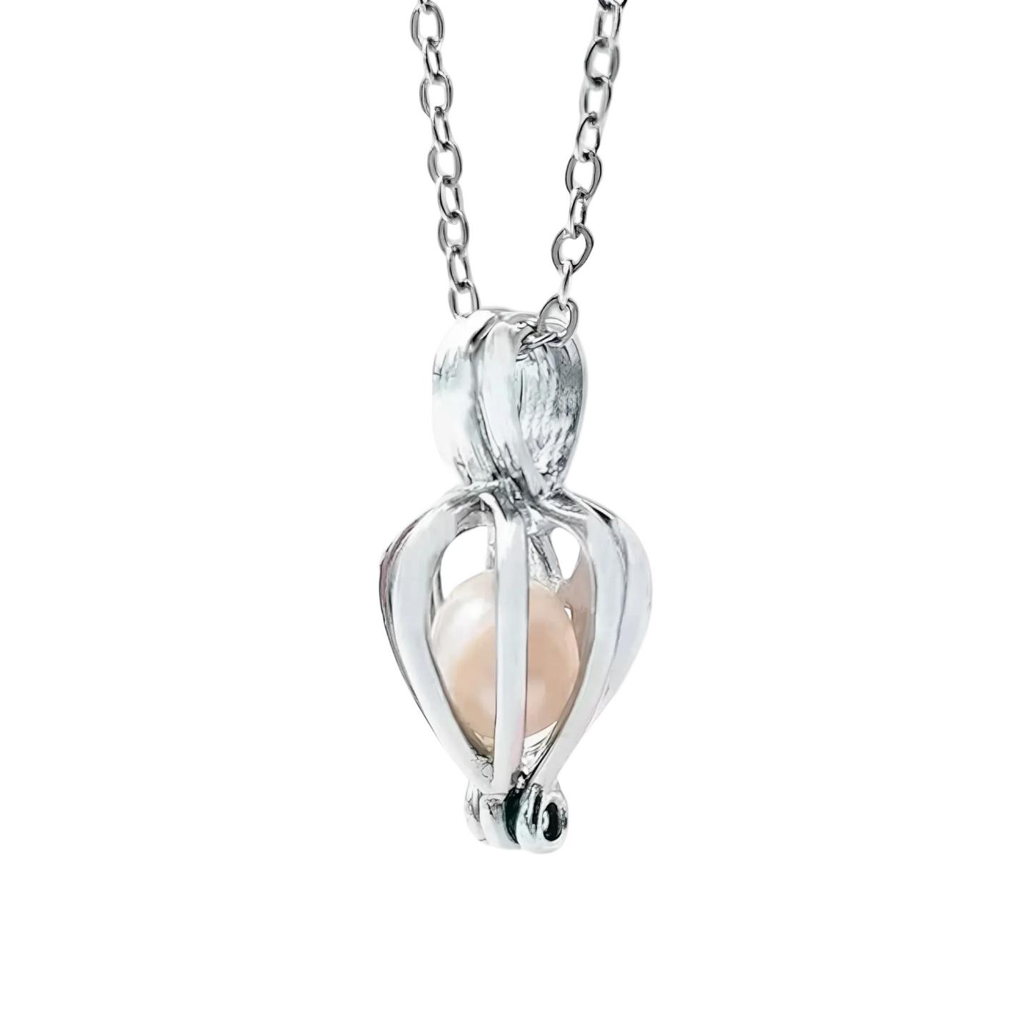 Collana Conchiglia Vera con Perla del Desiderio+ Scatola Regalo